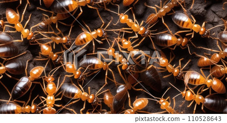 Seamless texture pattern and background of pile of ants. Insectophobia and myrmecophobia concept. AI Seamless texture pattern and background of pile of ants. Insectophobia and myrmecophobia concept. AI 110528643