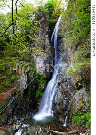 春天的隼人瀑布 110529413