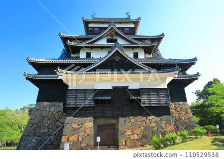 [島根縣]晴空下的松江城天守閣（國寶） 110529538