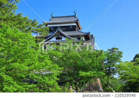 [島根縣]晴空下的松江城天守閣（國寶） 110529540
