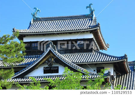 [Shimane Prefecture] Matsue Castle castle tower under clear skies (national treasure) 110529553