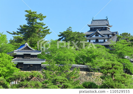 [島根縣] 晴空下的松江城天守閣和南角樓（國寶） 110529555