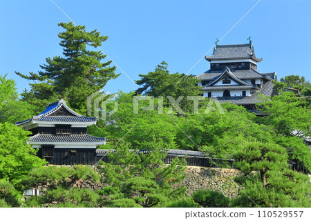 [島根縣] 晴空下的松江城天守閣和南角樓（國寶） 110529557