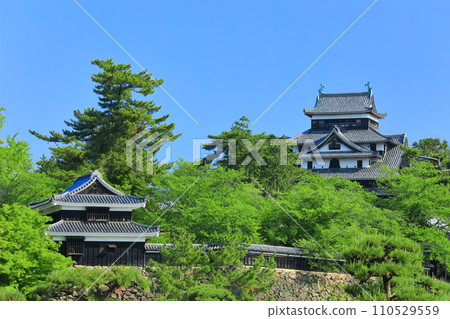 [島根縣] 晴空下的松江城天守閣和南角樓（國寶） 110529559