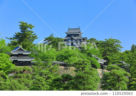 [島根縣] 晴空下的松江城天守閣和南角樓（國寶） 110529563