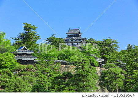 [Shimane Prefecture] Matsue Castle castle tower and south turret (national treasure) under clear skies 110529564