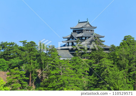 [島根縣]晴空下的松江城天守閣（國寶） 110529571