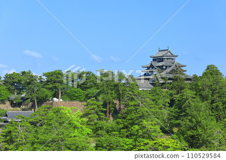 [Shimane Prefecture] Matsue Castle castle tower under clear skies (national treasure) 110529584