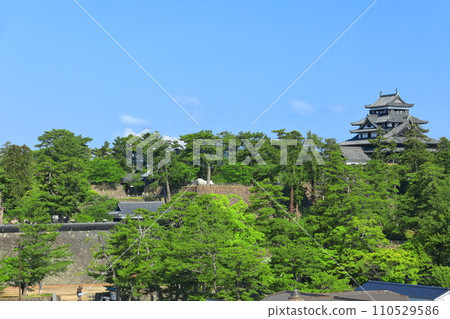 [Shimane Prefecture] Matsue Castle castle tower under clear skies (national treasure) 110529586
