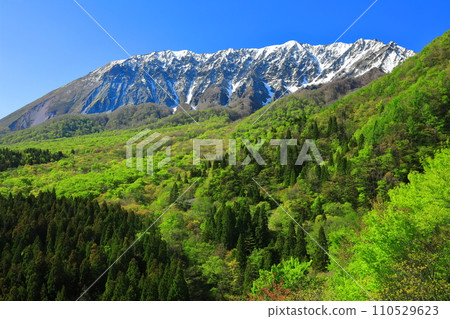 [鳥取縣]雪山大仙和新鮮的綠色，從神g嶽山口看 110529623
