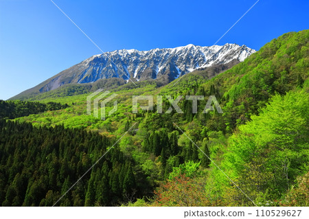 [Tottori Prefecture] Snow-capped Daisen and fresh green as seen from Kagikake Pass 110529627