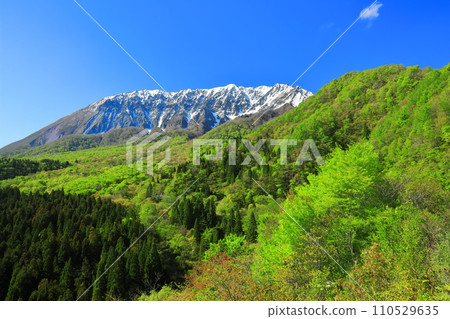 [鳥取縣]雪山大仙和新鮮的綠色，從神g嶽山口看 110529635