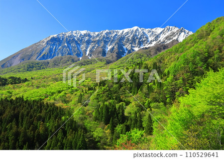 [Tottori Prefecture] Snow-capped Daisen and fresh green as seen from Kagikake Pass 110529641