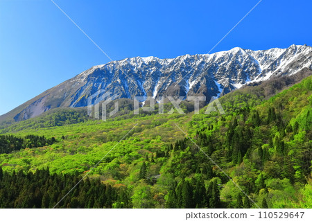 [Tottori Prefecture] Snow-capped Daisen and fresh green as seen from Kagikake Pass 110529647