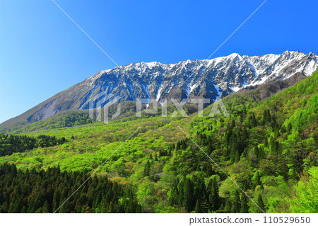 [Tottori Prefecture] Snow-capped Daisen and fresh green as seen from Kagikake Pass 110529650