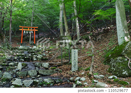 甲心山登山口的第一個鳥居 110529677