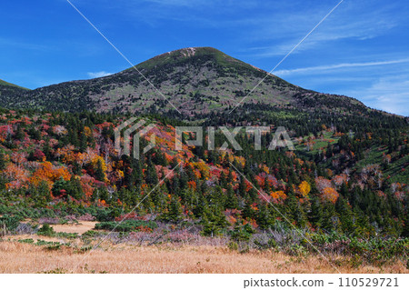 從八甲田山西側的登山道看到的八甲田山（大岳） 110529721