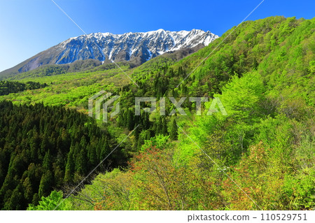 [Tottori Prefecture] Snow-capped Daisen and fresh green as seen from Kagikake Pass 110529751