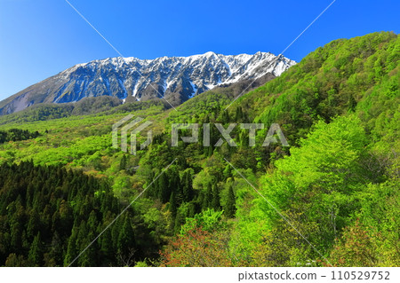 [Tottori Prefecture] Snow-capped Daisen and fresh green as seen from Kagikake Pass 110529752