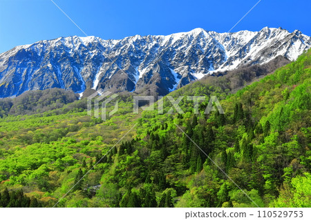 [Tottori Prefecture] Snow-capped Daisen and fresh green as seen from Kagikake Pass 110529753
