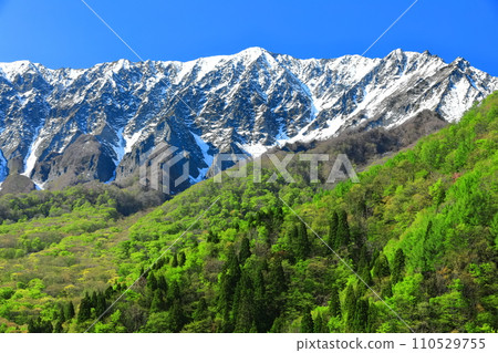 [Tottori Prefecture] Snow-capped Daisen and fresh green as seen from Kagikake Pass 110529755