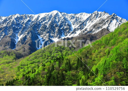 [Tottori Prefecture] Snow-capped Daisen and fresh green as seen from Kagikake Pass 110529756