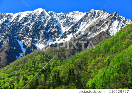 [鳥取縣]雪山大仙和新鮮的綠色，從神g嶽山口看 110529757
