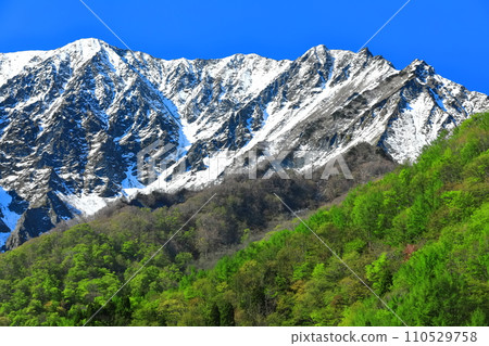 [Tottori Prefecture] Snow-capped Daisen and fresh green as seen from Kagikake Pass 110529758
