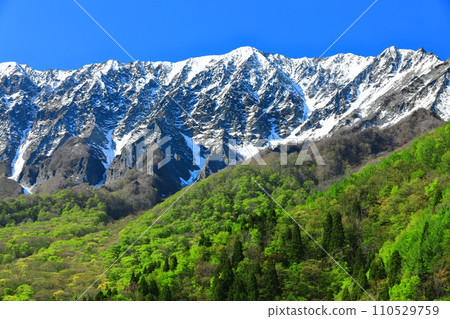 [Tottori Prefecture] Snow-capped Daisen and fresh green as seen from Kagikake Pass 110529759