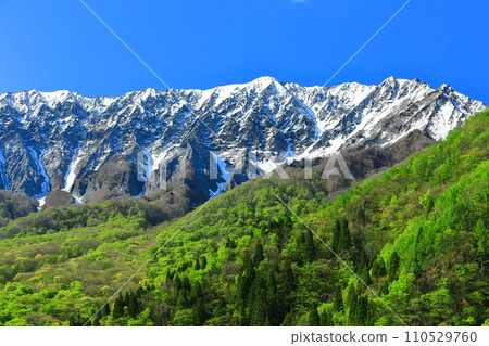 [Tottori Prefecture] Snow-capped Daisen and fresh green as seen from Kagikake Pass 110529760