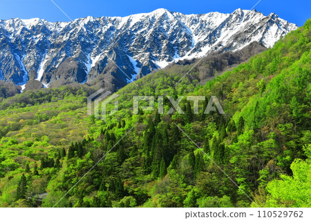 [Tottori Prefecture] Snow-capped Daisen and fresh green as seen from Kagikake Pass 110529762