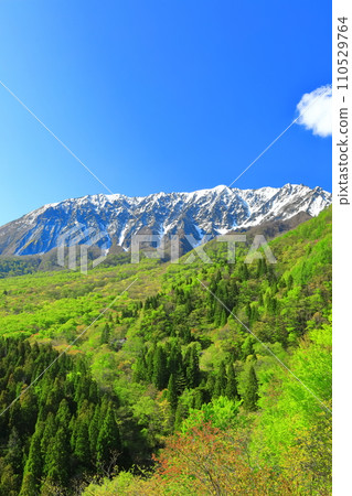 [鳥取縣]雪山大仙和新鮮的綠色，從神g嶽山口看 110529764