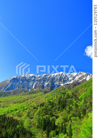 [Tottori Prefecture] Snow-capped Daisen and fresh green as seen from Kagikake Pass 110529765