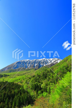 [Tottori Prefecture] Snow-capped Daisen and fresh green as seen from Kagikake Pass 110529768