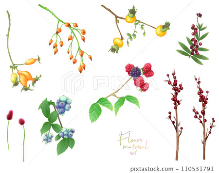 Flower material set (fruit) Flower material set (fruit) 110531791