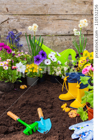 Spring garden decoration with flowers Spring garden decoration with flowers 110532256