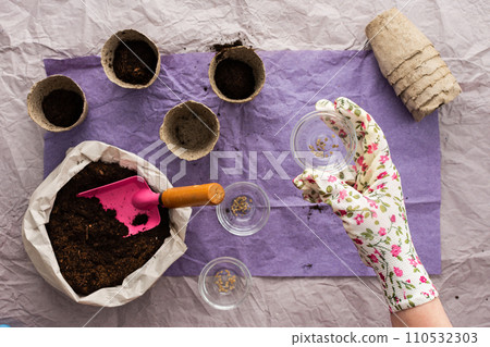 Woman planting tomato seeds Woman planting tomato seeds 110532303