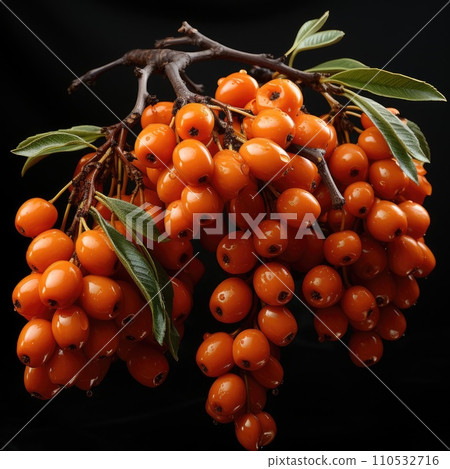 Branch of sea buckthorn with berries. Generative AI 110532716