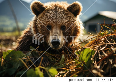 Brown bear fishing in a river. Generative AI 110532717