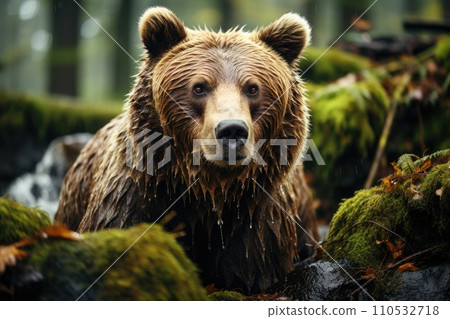 Brown bear fishing in a river. Generative AI 110532718