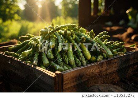 Organic asparagus in a wooden box. Generative AI 110533272