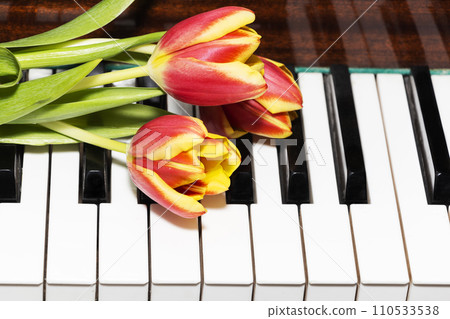 Tulips on the piano. The concept of romantic music and melodies. 110533538