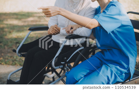 A nurse take care a senior male on wheelchair in his garden at home 110534539