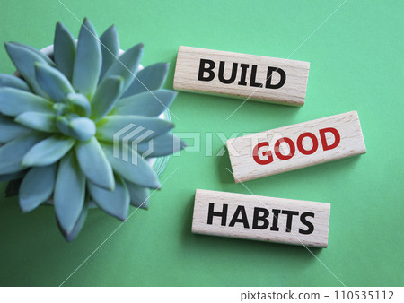 Build good habits symbol. Wooden blocks with words Build good habits. Beautiful green background with succulent plant. Business and Build good habits concept. Copy space. 110535112