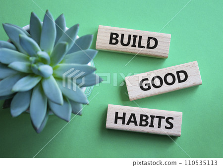 Build good habits symbol. Wooden blocks with words Build good habits. Beautiful green background with succulent plant. Business and Build good habits concept. Copy space. 110535113