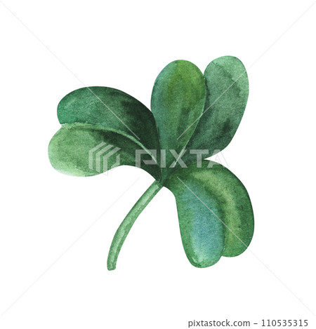 Four-leaf clover. Watercolor illustration isolated on white background. Saint St Patrick Day Shamrock good luck symbol. For decoration, flyers, design 110535315