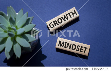 Growth Mindset symbol. Concept word Growth Mindset on wooden blocks. Beautiful deep blue background with succulent plant. Business and Growth Mindset concept. Copy space Growth Mindset symbol. Concept word Growth Mindset on wooden blocks. Beautiful deep blue background with succulent plant. Business and Growth Mindset concept. Copy space 110535396