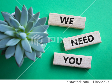 We need You symbol. Wooden blocks with words We need you. Beautiful green background with succulent plant. Business and We need You concept. Copy space 110535423