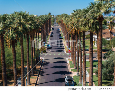 An aerial shot of Californian palms with an empty road. Palm trees and desert mountain in Palm Springs, California. An aerial shot of Californian palms with an empty road. Palm trees and desert mountain in Palm Springs, California. 110536562