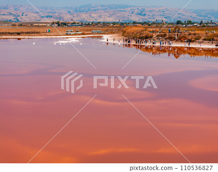 Aerial view of the Pink salt ponds at Alviso Marina County Park, gateway to the Don Edwards San Francisco Bay National Wildlife Refuge 110536827